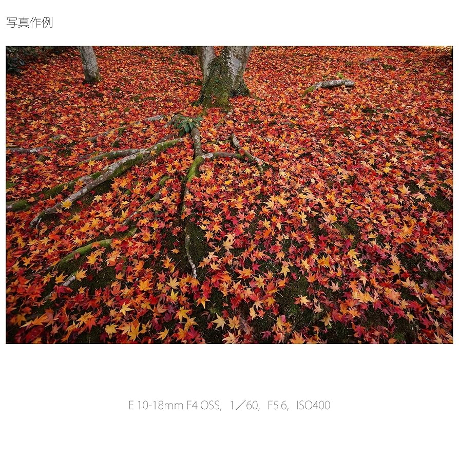 Amazon | SONY 広角ズームレンズ E 10-18mm F4 OSS ソニー E